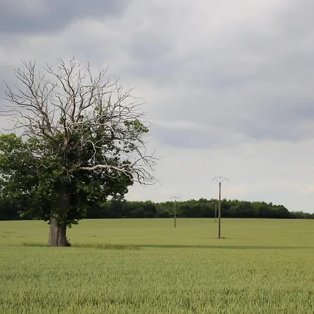 La Roseraie 3* Romagne