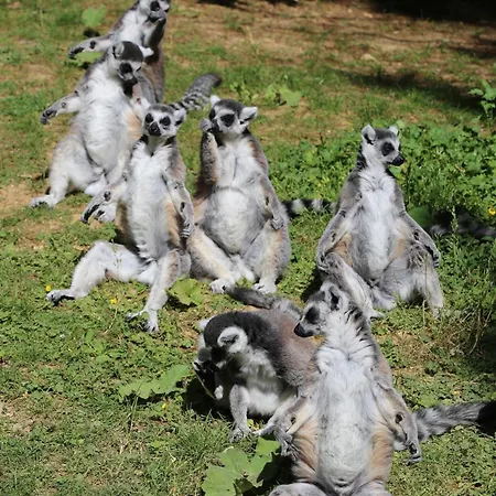 La Roseraie 3* Romagne