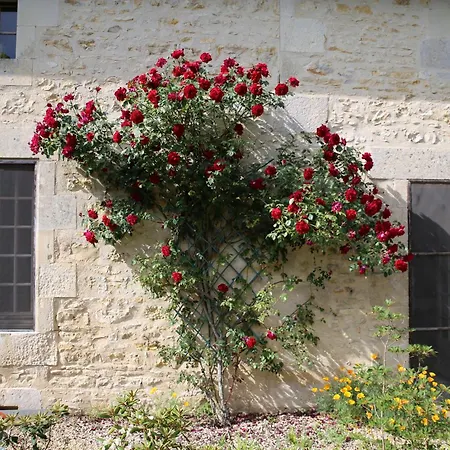 La Roseraie Panzió Romagne