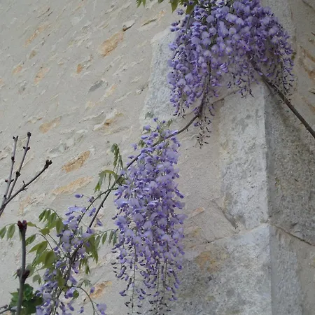 Bed & Breakfast La Roseraie Romagne (Vienne)