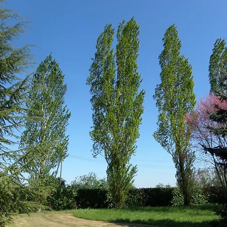 La Roseraie 3*