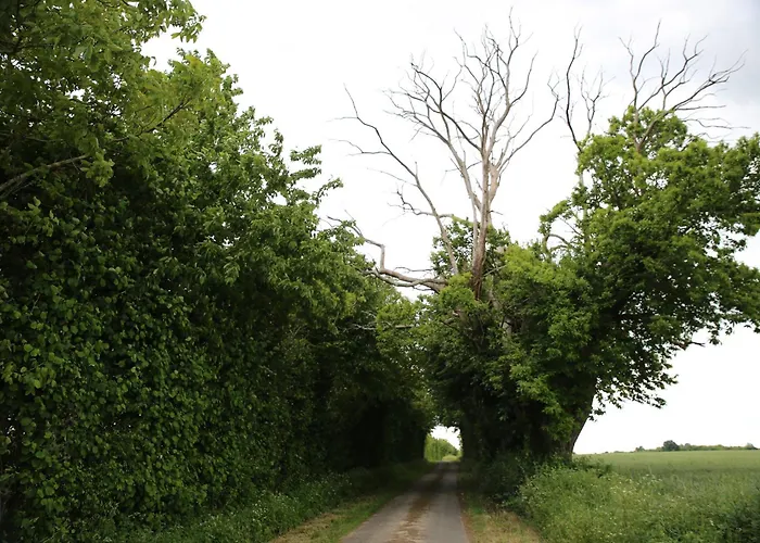 La Roseraie Couette-café 3*