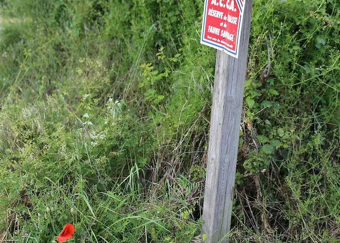 Couette-café La Roseraie Romagne (Vienne)