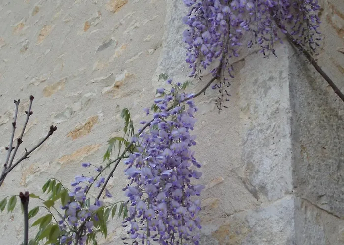 Couette-café La Roseraie Romagne (Vienne)